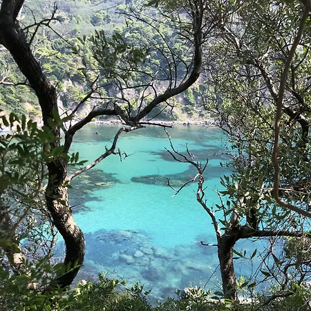 Sebastian'S Family Hotel And Taverna - Agios Gordios Beach-3